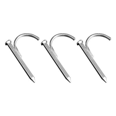 qualidade  High Hardness Galvanized Pipe Hook Nails Support Customization fábrica